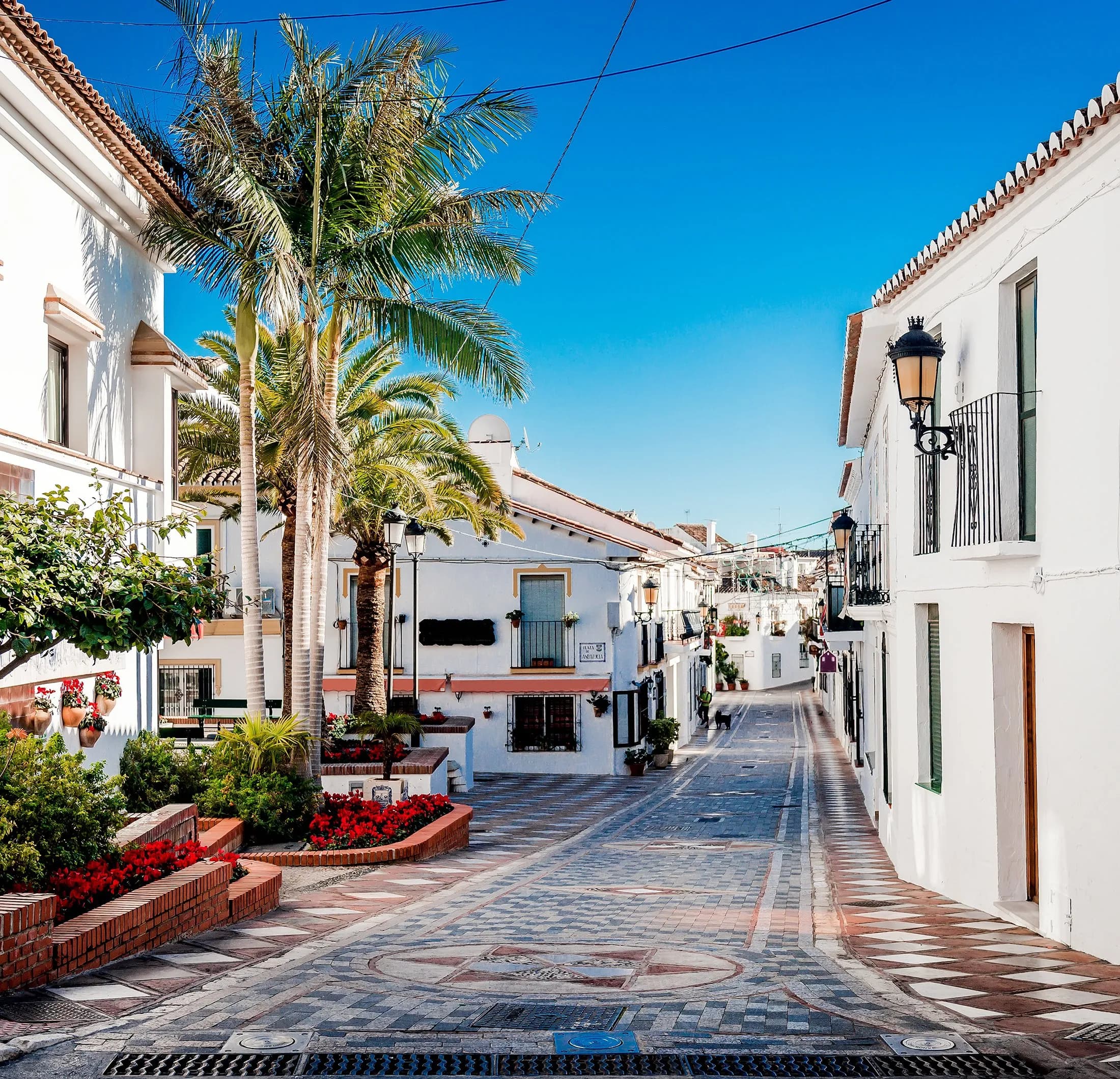 Calle peatonal con casas blancas, palmeras y flores rojas bajo un cielo azul despejado.